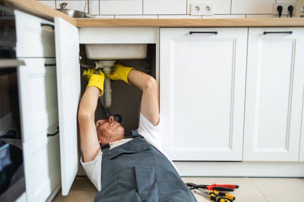 Best Plumbing Services Near Me  in Rehobeth, AL