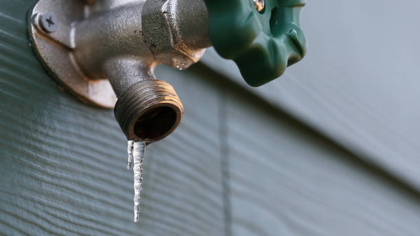 Best Shower Repair Services  in Rehobeth, AL
